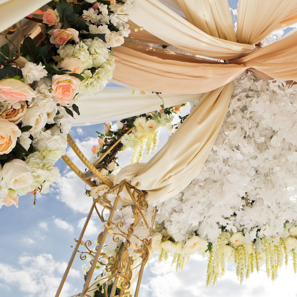 Professional Event Organizer